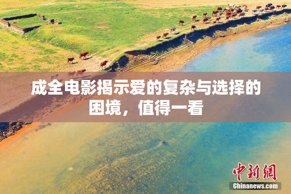 成全电影揭示爱的复杂与选择的困境，值得一看