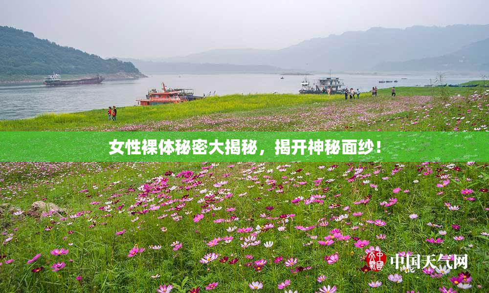 女性裸体秘密大揭秘，揭开神秘面纱！