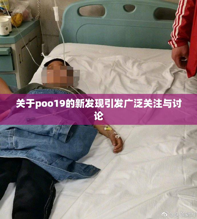 关于poo19的新发现引发广泛关注与讨论