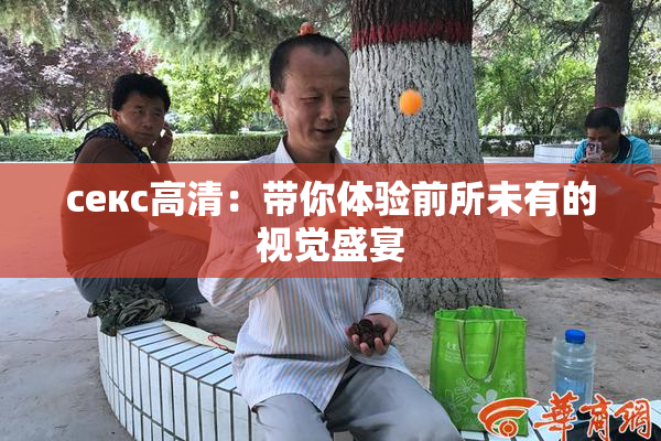 ceкс高清：带你体验前所未有的视觉盛宴