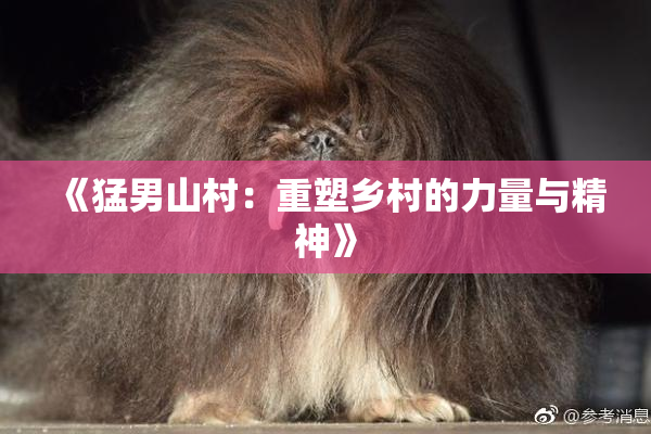 《猛男山村：重塑乡村的力量与精神》