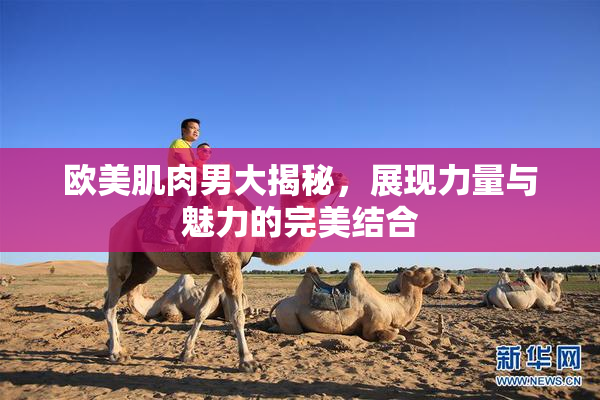 欧美肌肉男大揭秘，展现力量与魅力的完美结合