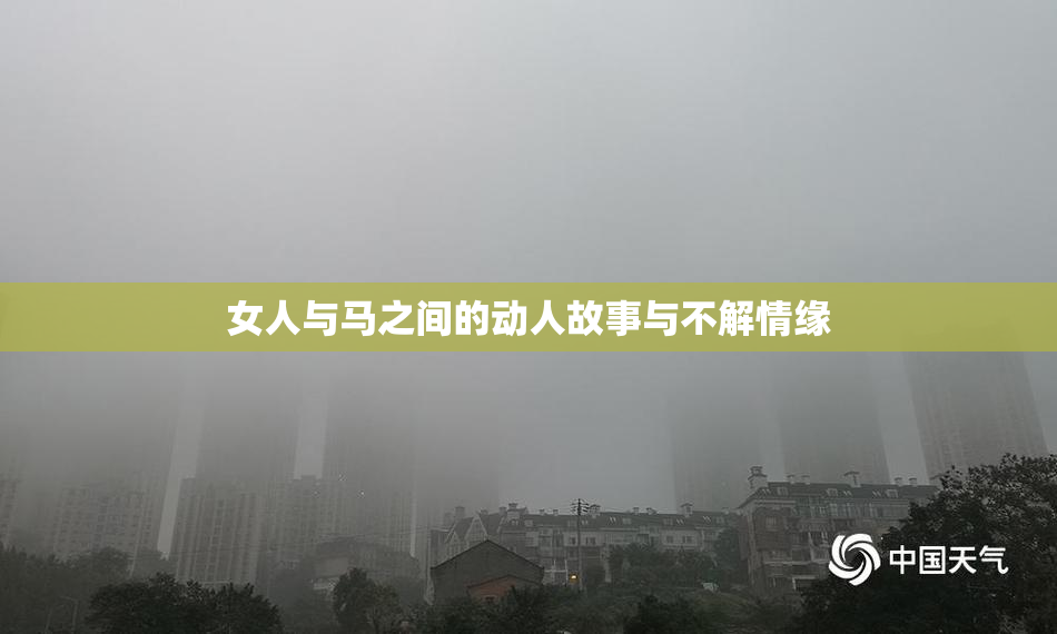 女人与马之间的动人故事与不解情缘