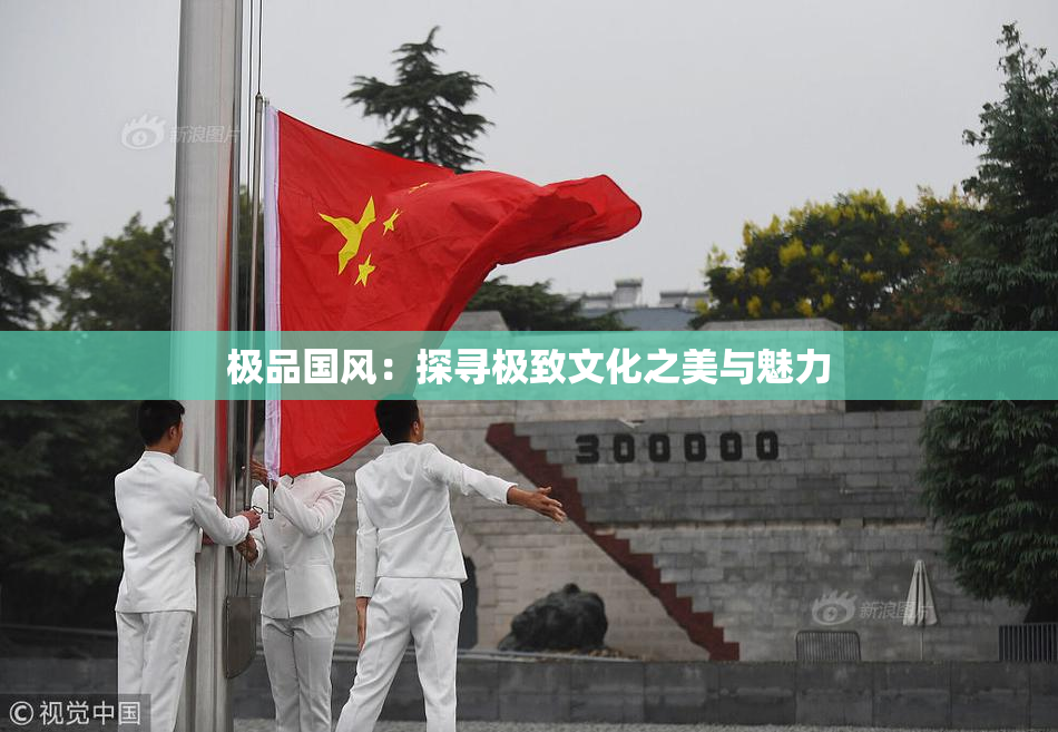 极品国风：探寻极致文化之美与魅力