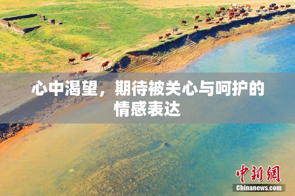 心中渴望，期待被关心与呵护的情感表达