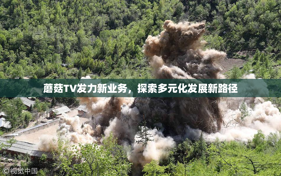 蘑菇TV发力新业务，探索多元化发展新路径