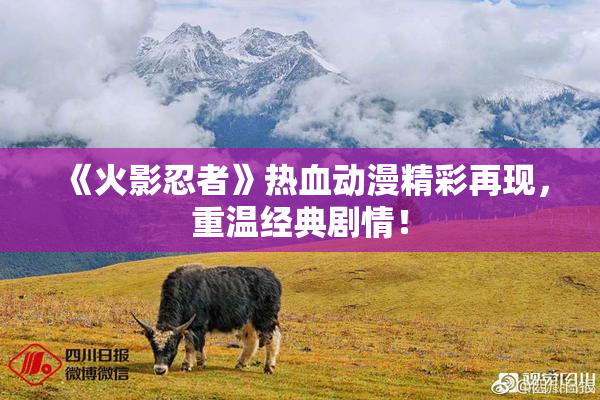 《火影忍者》热血动漫精彩再现，重温经典剧情！