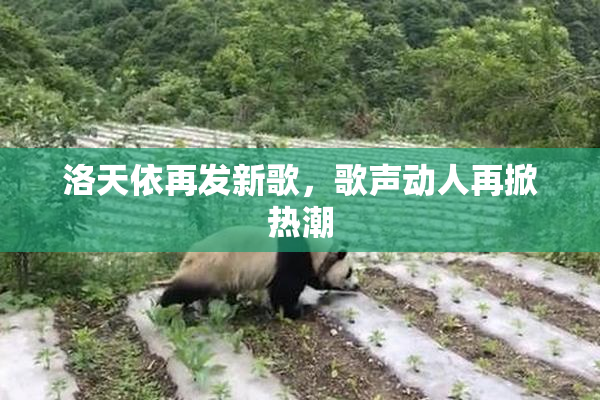 洛天依再发新歌，歌声动人再掀热潮