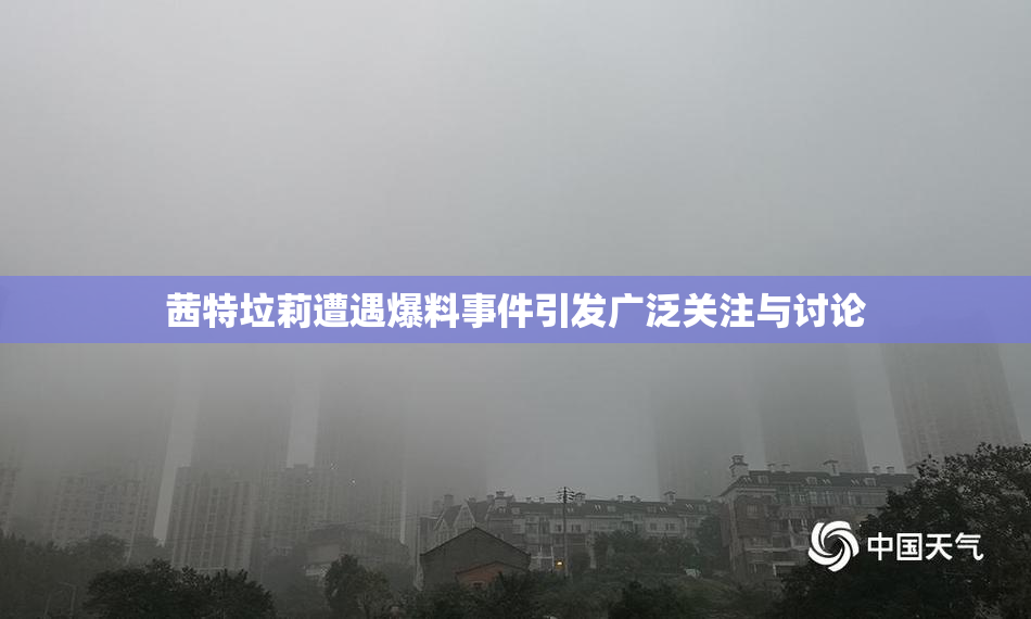 茜特垃莉遭遇爆料事件引发广泛关注与讨论
