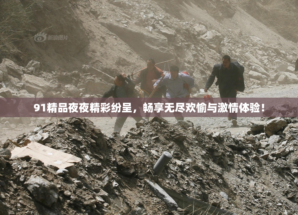 91精品夜夜精彩纷呈，畅享无尽欢愉与激情体验！