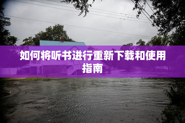 如何将听书进行重新下载和使用指南