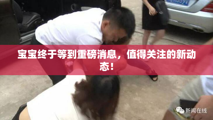 宝宝终于等到重磅消息，值得关注的新动态！