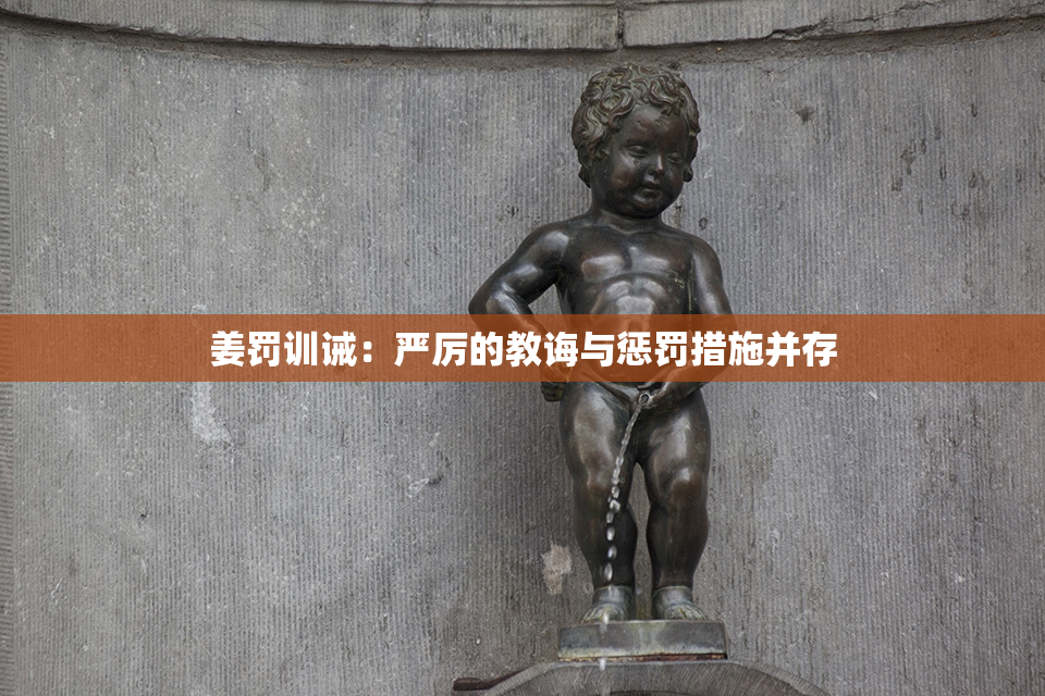 姜罚训诫：严厉的教诲与惩罚措施并存