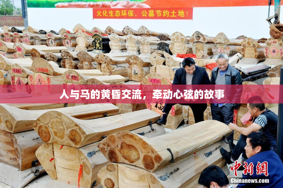 人与马的黄昏交流，牵动心弦的故事
