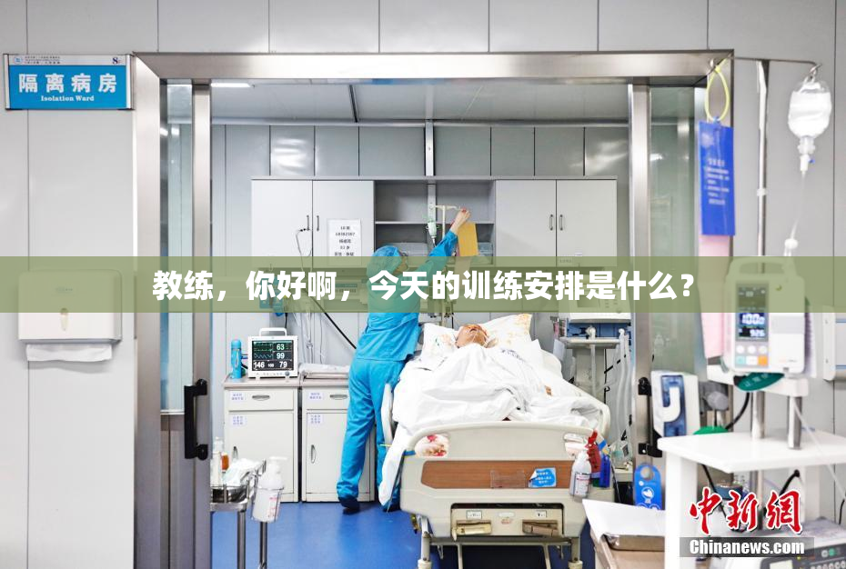 教练，你好啊，今天的训练安排是什么？
