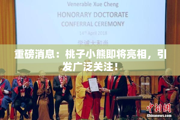 重磅消息：桃子小熊即将亮相，引发广泛关注！