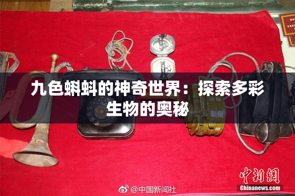 九色蝌蚪的神奇世界：探索多彩生物的奥秘