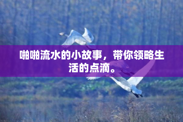 啪啪流水的小故事，带你领略生活的点滴。