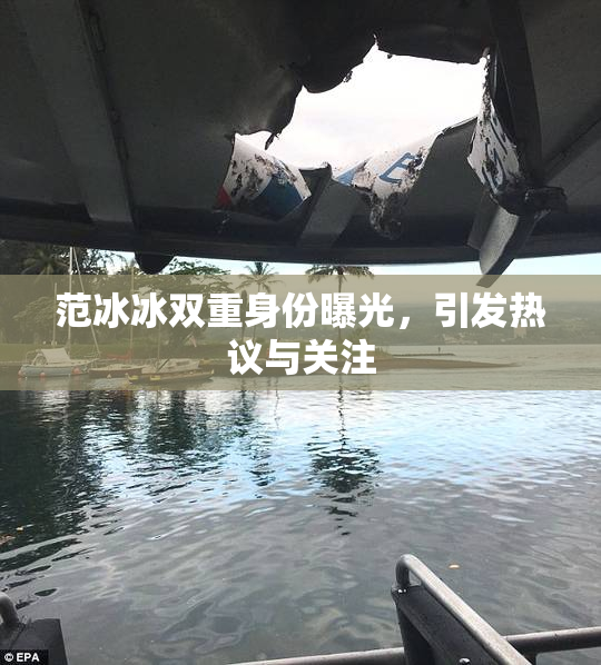 范冰冰双重身份曝光，引发热议与关注