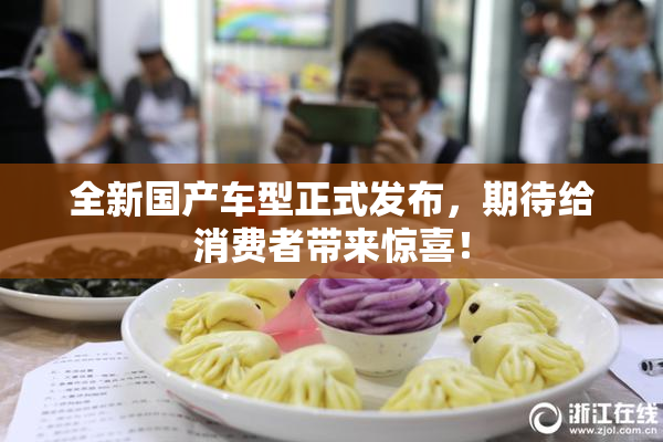 全新国产车型正式发布，期待给消费者带来惊喜！