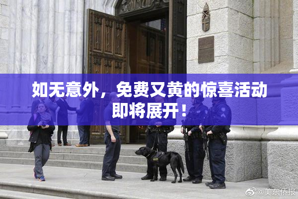 如无意外，免费又黄的惊喜活动即将展开！