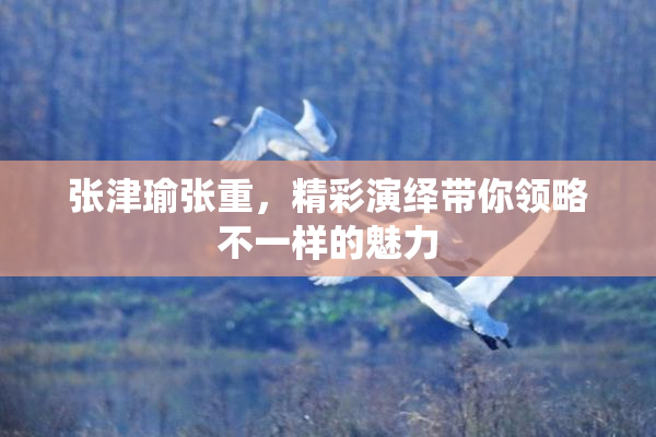 张津瑜张重，精彩演绎带你领略不一样的魅力