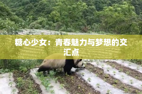 糖心少女：青春魅力与梦想的交汇点