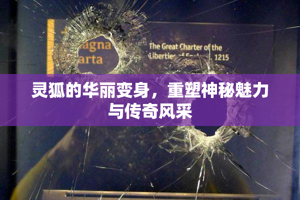 灵狐的华丽变身，重塑神秘魅力与传奇风采