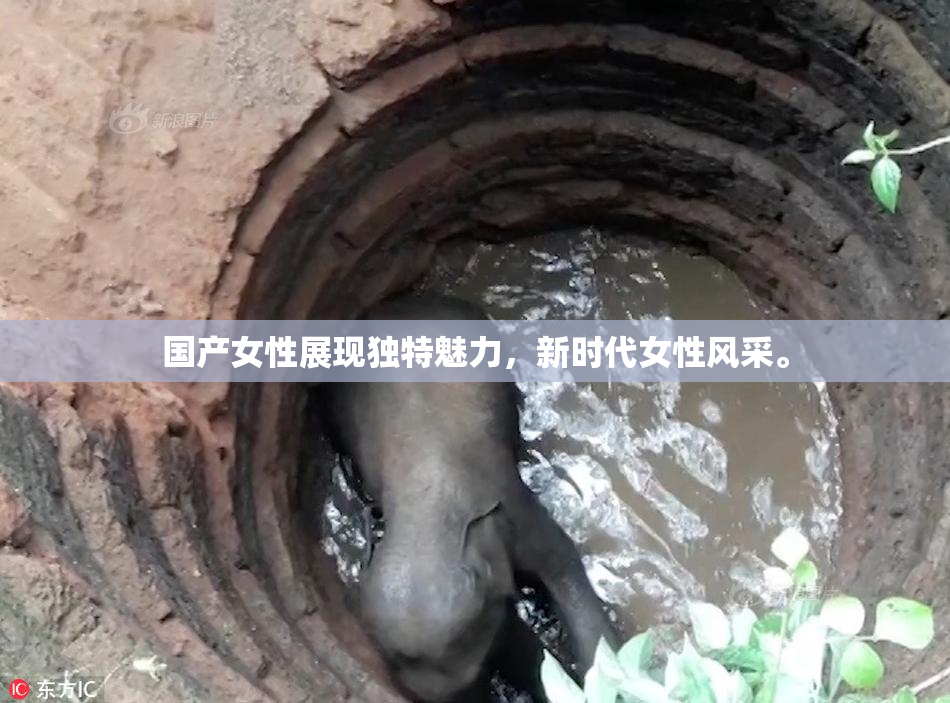 国产女性展现独特魅力，新时代女性风采。