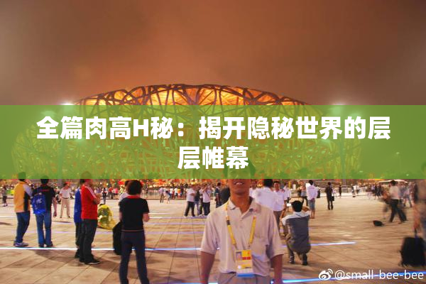 全篇肉高H秘：揭开隐秘世界的层层帷幕