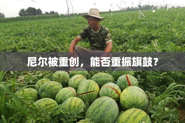 尼尔被重创，能否重振旗鼓？
