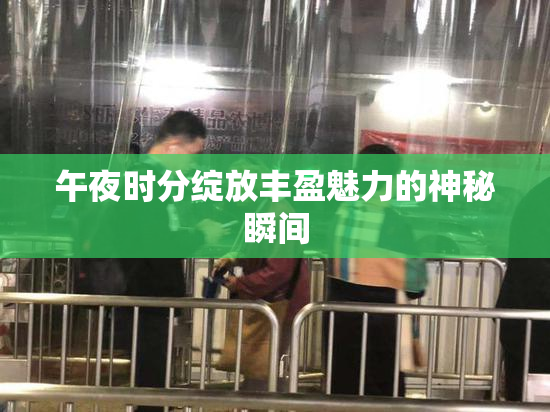 午夜时分绽放丰盈魅力的神秘瞬间