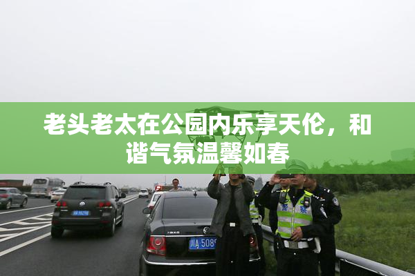 老头老太在公园内乐享天伦，和谐气氛温馨如春
