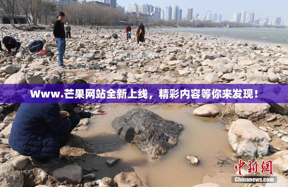 Www.芒果网站全新上线，精彩内容等你来发现！