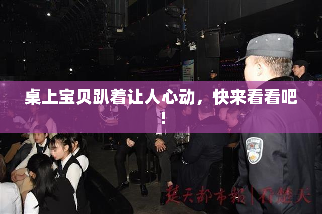 桌上宝贝趴着让人心动，快来看看吧！