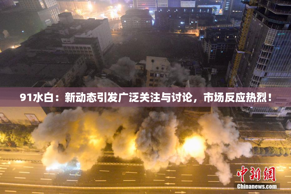 91水白：新动态引发广泛关注与讨论，市场反应热烈！