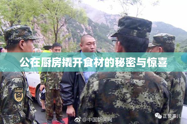 公在厨房撬开食材的秘密与惊喜