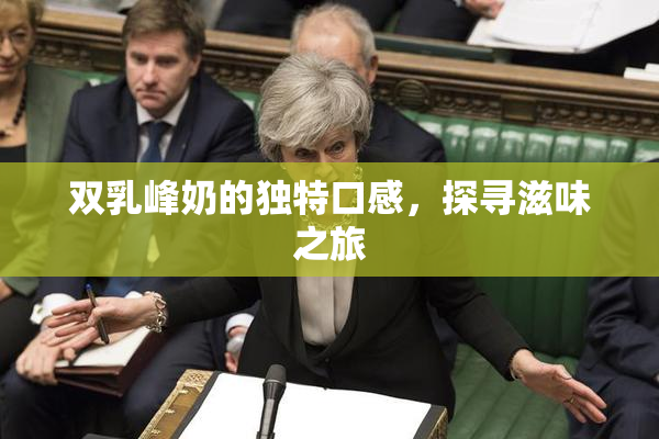 双乳峰奶的独特口感，探寻滋味之旅