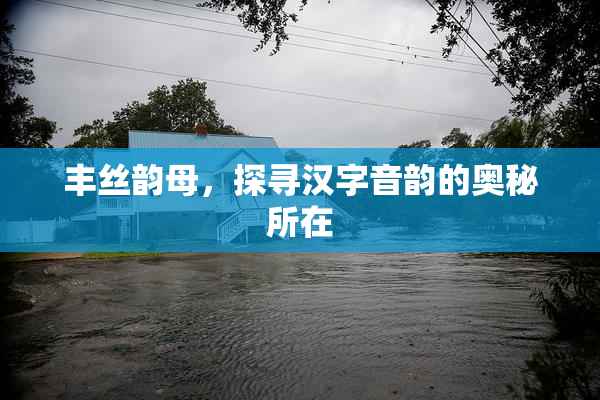 丰丝韵母，探寻汉字音韵的奥秘所在
