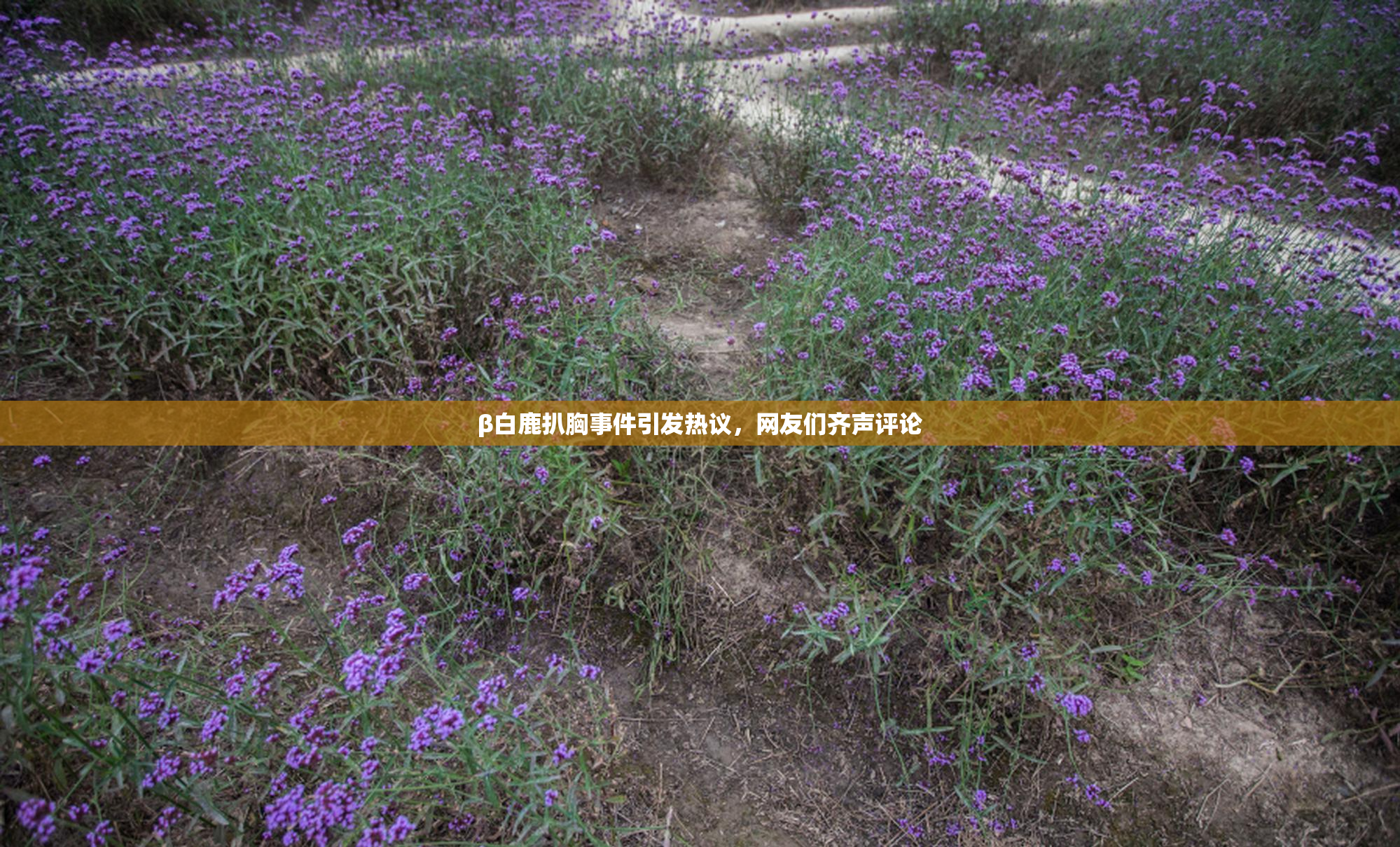 β白鹿扒胸事件引发热议，网友们齐声评论
