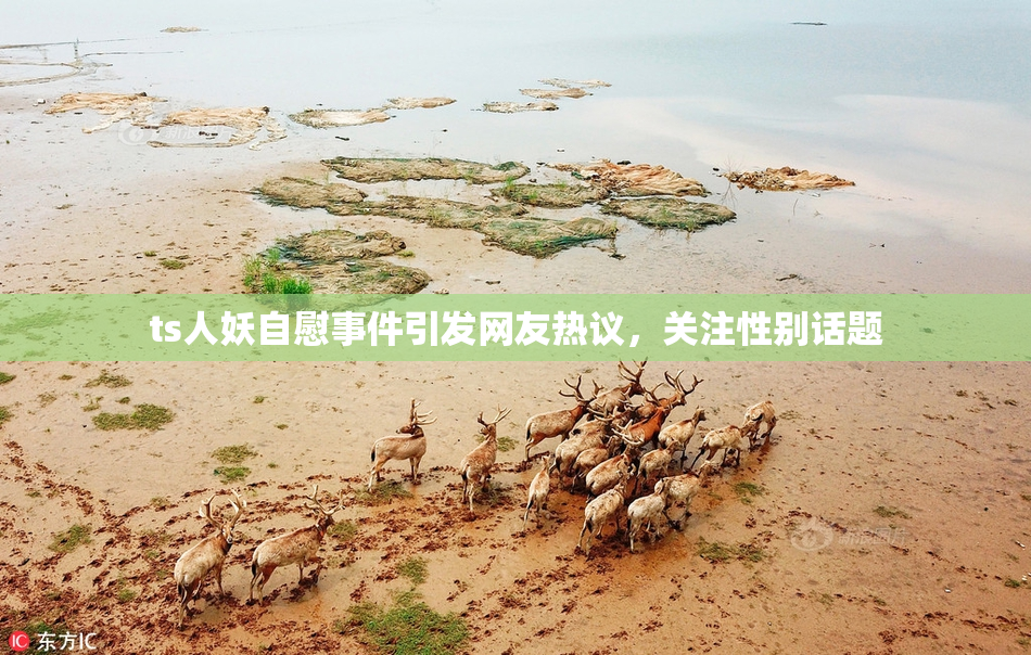 ts人妖自慰事件引发网友热议，关注性别话题