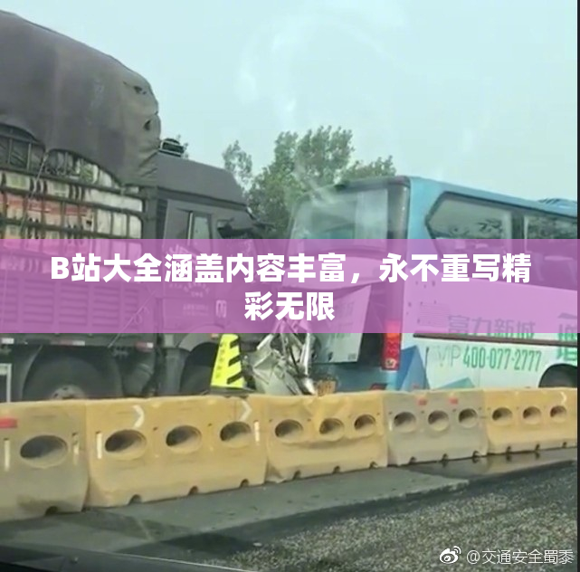 B站大全涵盖内容丰富，永不重写精彩无限