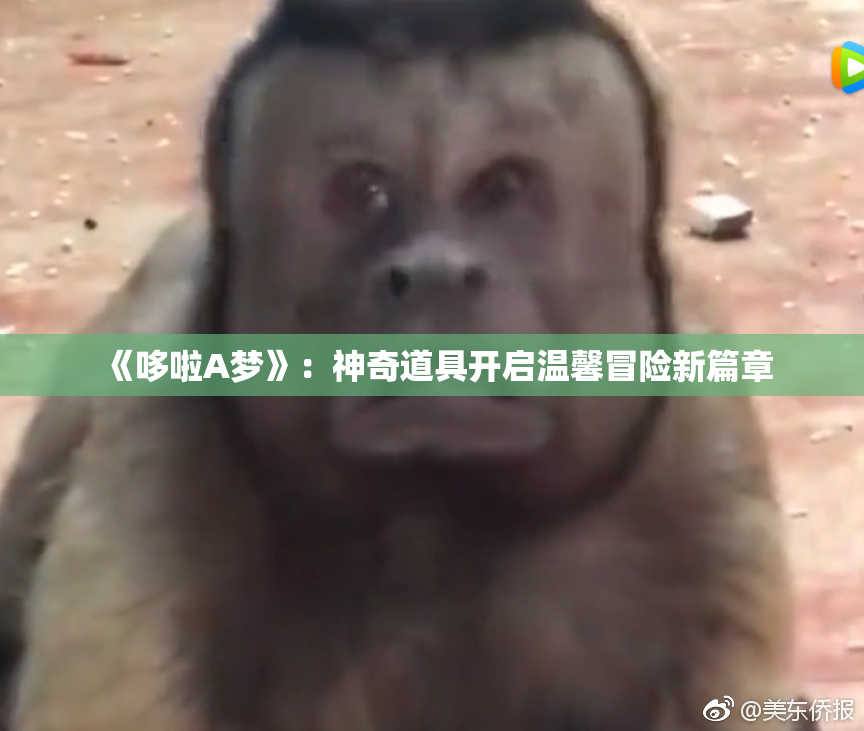 《哆啦A梦》：神奇道具开启温馨冒险新篇章