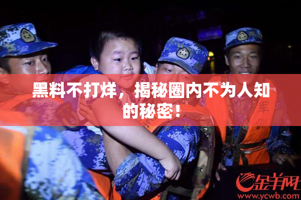 黑料不打烊，揭秘圈内不为人知的秘密！