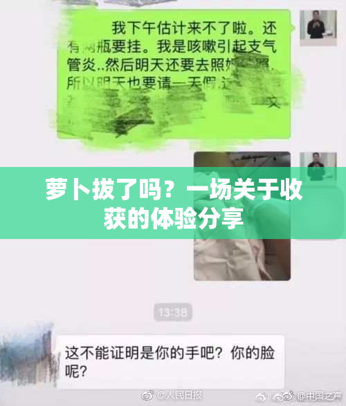萝卜拔了吗？一场关于收获的体验分享