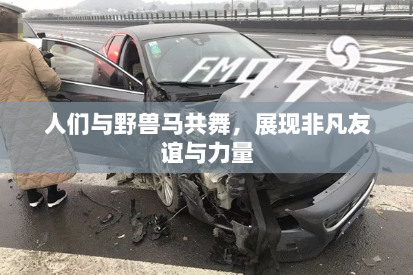 人们与野兽马共舞，展现非凡友谊与力量