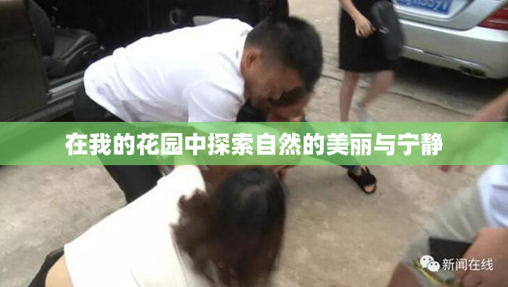 在我的花园中探索自然的美丽与宁静