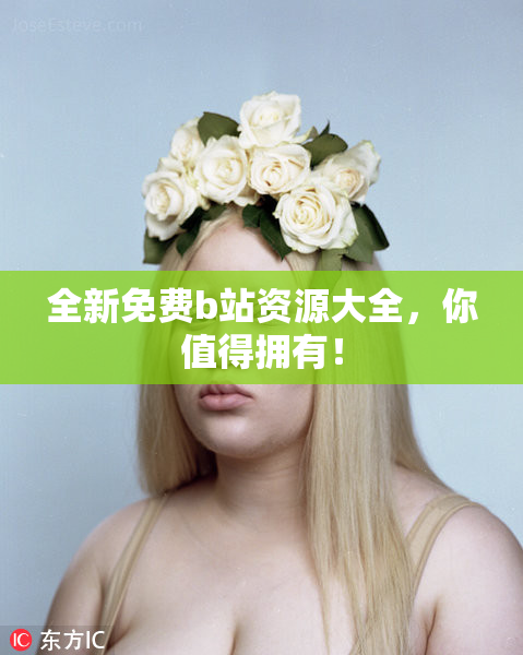 全新免费b站资源大全，你值得拥有！