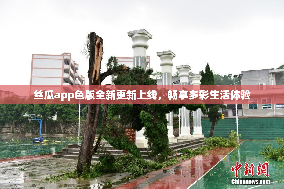 丝瓜app色版全新更新上线，畅享多彩生活体验