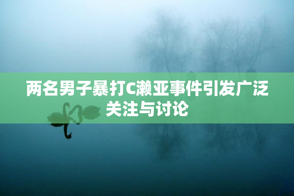 两名男子暴打C濑亚事件引发广泛关注与讨论